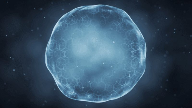 生物医药外包设备采购：流程揭秘与关键要素**