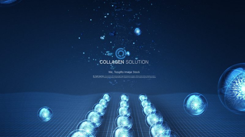 生物科技公司批发价格目录