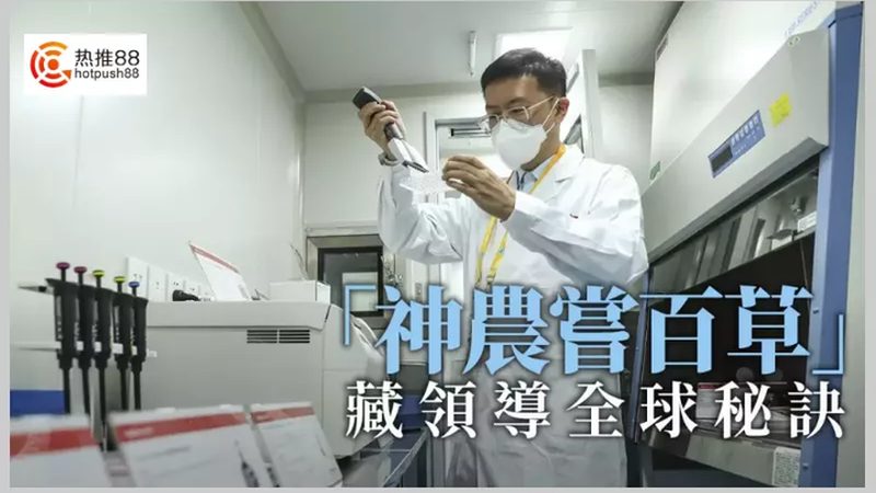 上游细胞培养与下游纯化：工艺之别，质控之重**