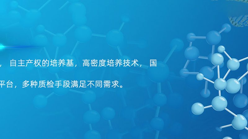 广州酶制剂批发厂家：如何选择合适的供应商？**