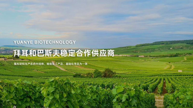 居家基因检测，揭秘你的遗传密码