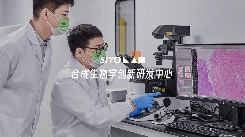 DMEM培养基的使用步骤详解：从准备到培养