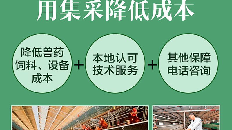 引物合成怎么选，先看用途再谈规格