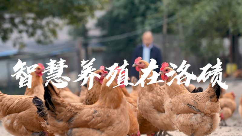 移液器材质定制：揭秘生物实验室中的“隐形守护者”**