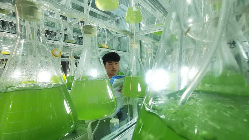 基因测序仪型号对比：揭秘高性能测序技术的选择之道